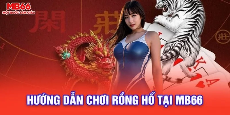 rong-ho-mb66-huong-dan